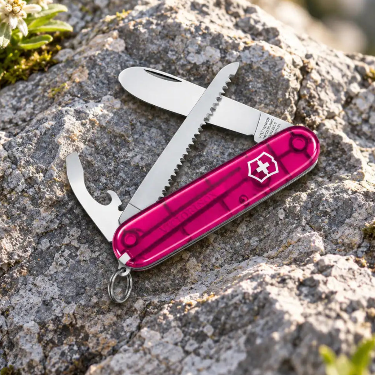 Victorinox pocket knife for children