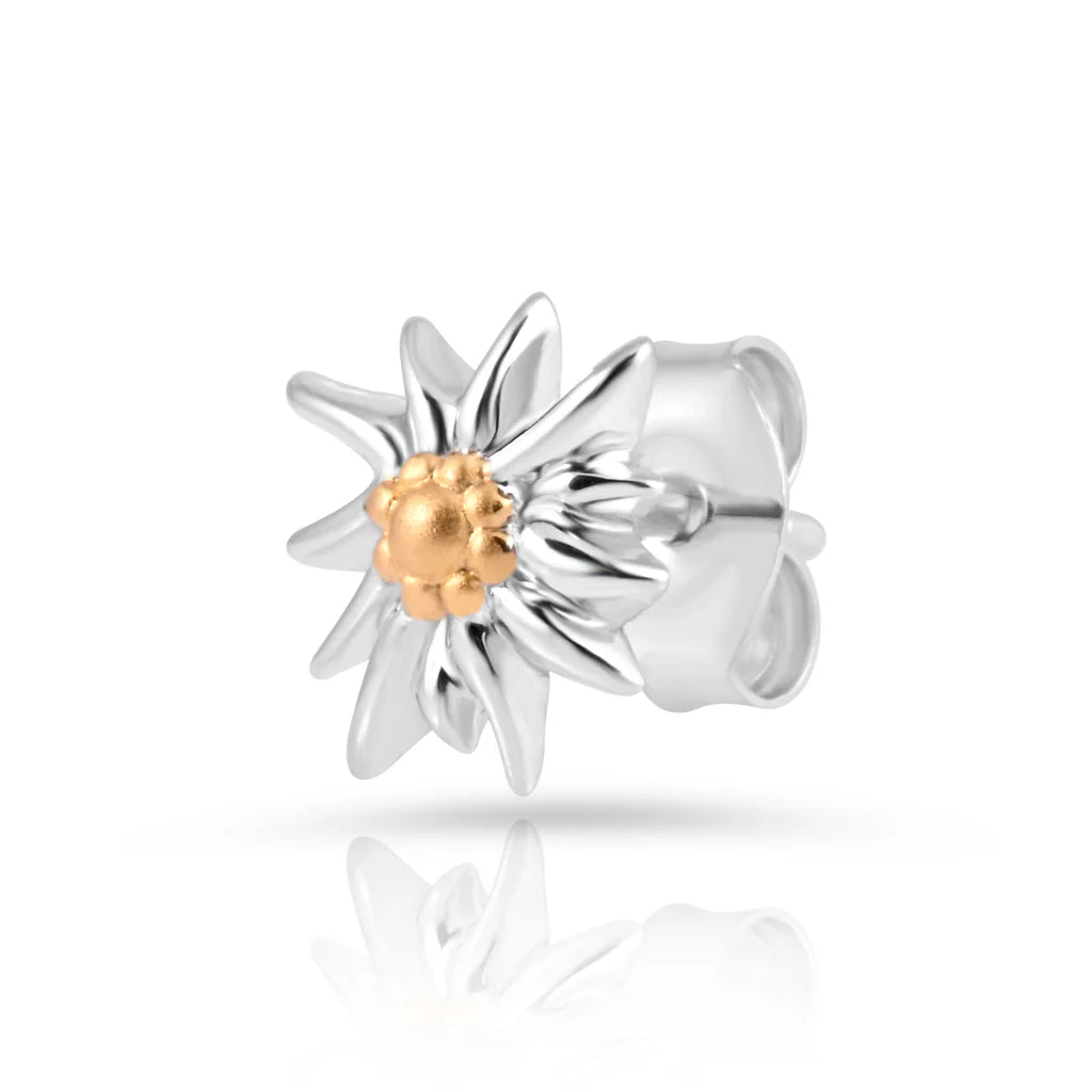 Anhänger und Ohrstecker SET, Bicolor Silber