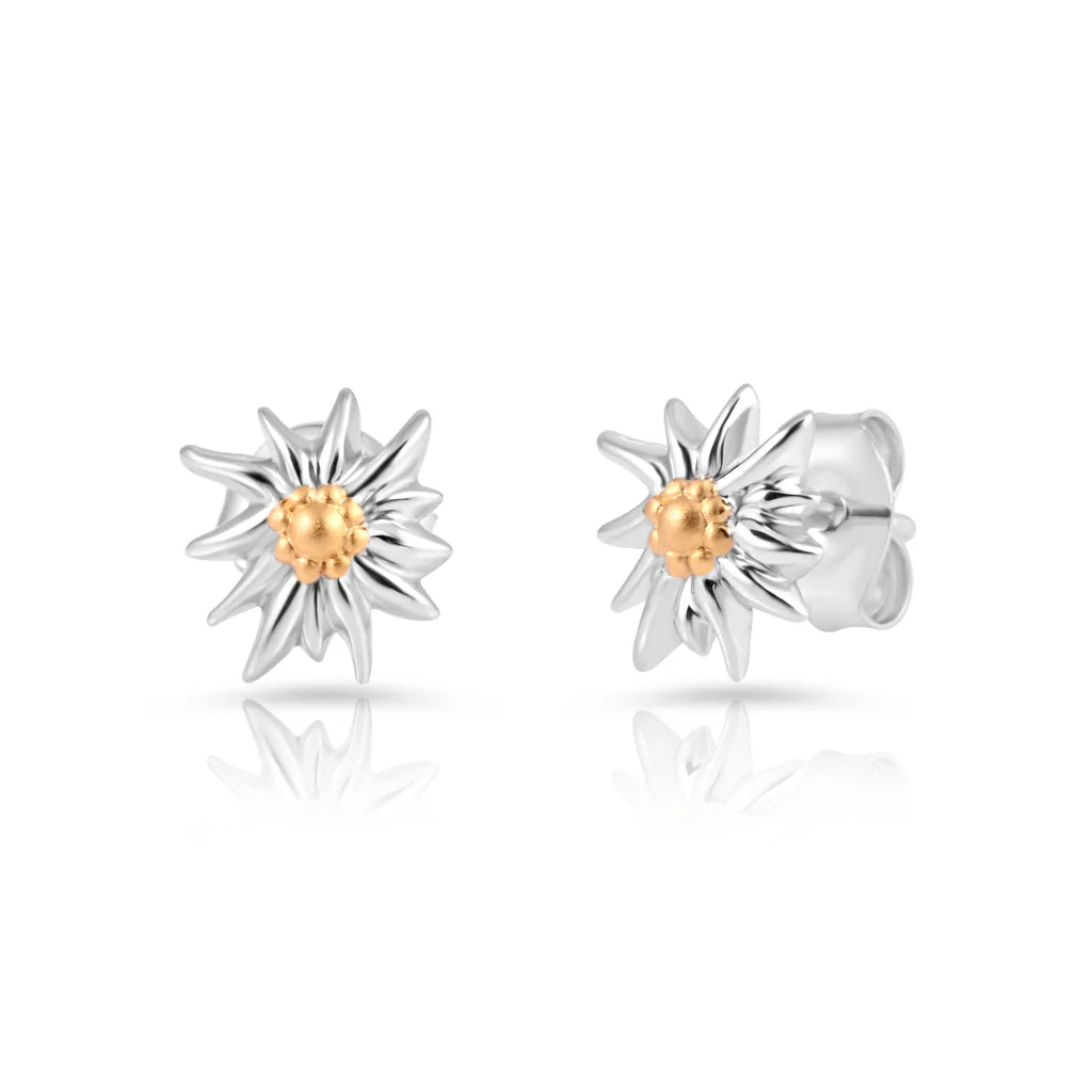 Anhänger und Ohrstecker SET, Bicolor Silber