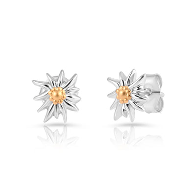 Anhänger und Ohrstecker SET, Bicolor Silber