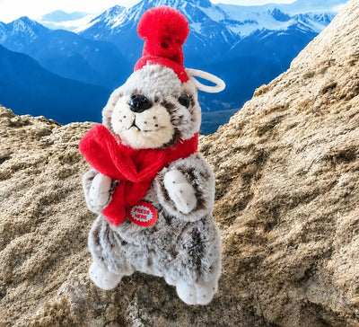 Marmotte yodel