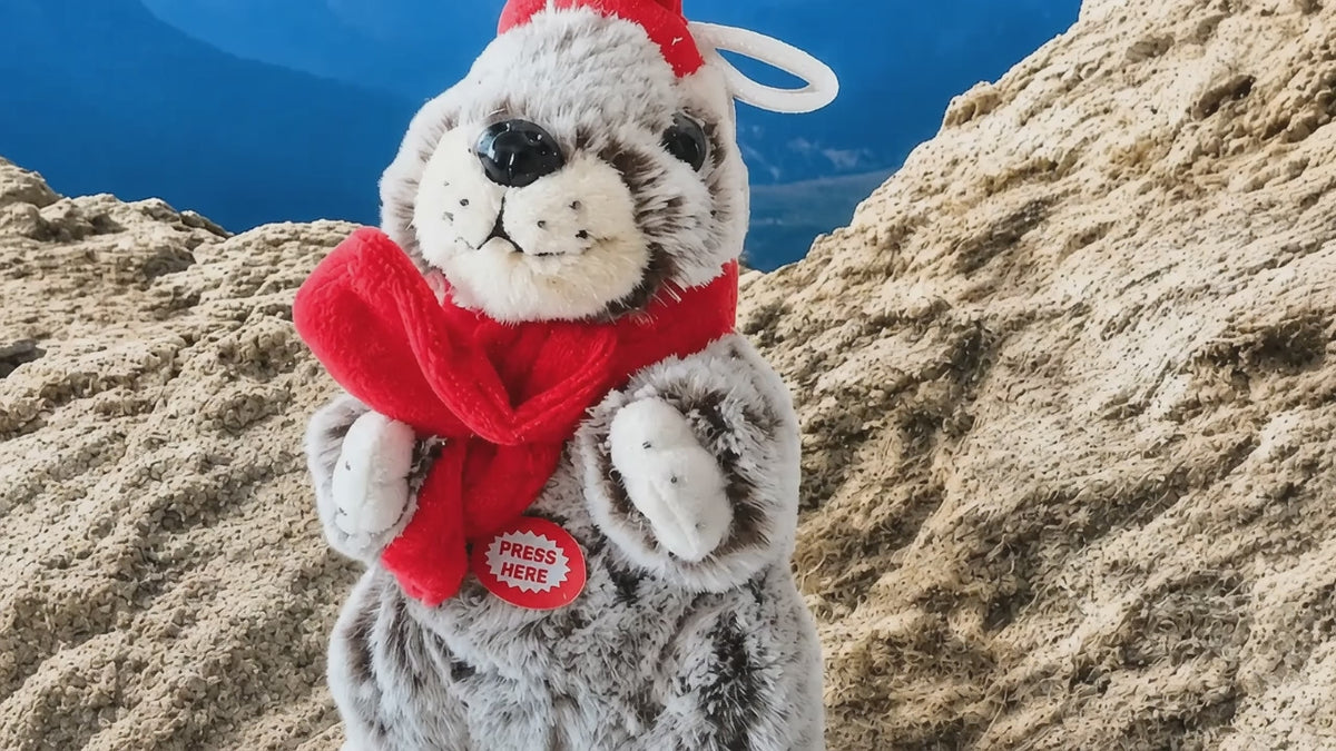 Load video: Yodeling marmot